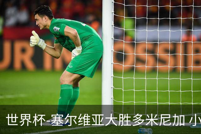 世界杯-塞尔维亚大胜多米尼加 小组第二进八强